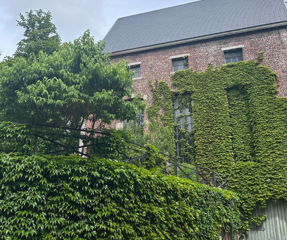 Jardin du Mayeur
